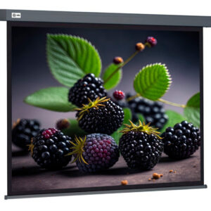 Экран Cactus 127x127см Wallscreen CS-PSW-127X127-SG 1:1 настенно-потолочный рулонный серый