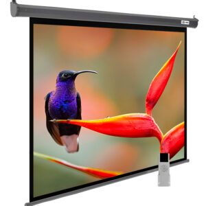 Экран Cactus 138x220см SIlverMotoExpert CS-PSSME-220X138-DG 16:10 настенно-потолочный рулонный темно-серый (моторизованный привод)