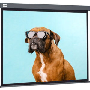 Экран Cactus 149.4x265.7см Wallscreen CS-PSW-149X265-SG 16:9 настенно-потолочный рулонный серый